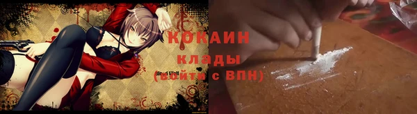бошки Бронницы