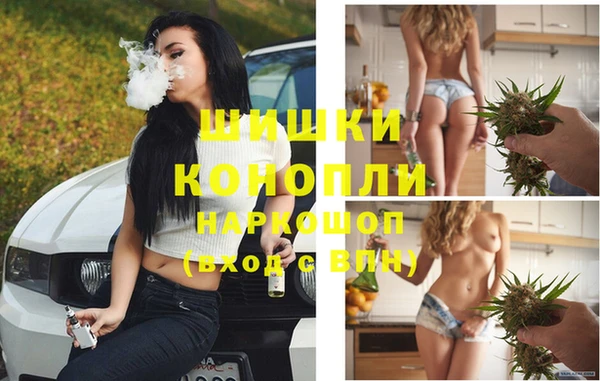 крисы Богданович