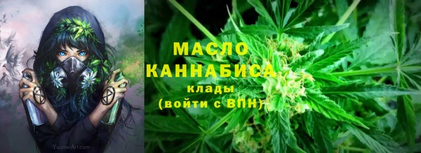 бошки Бронницы