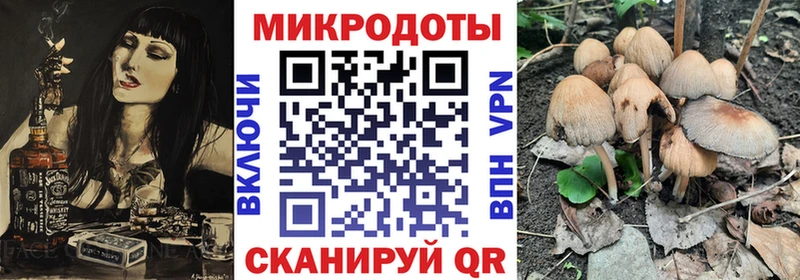 Купить  Покровск  Галлюциногенные грибы Psilocybe 